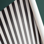 Paper-The Zebra