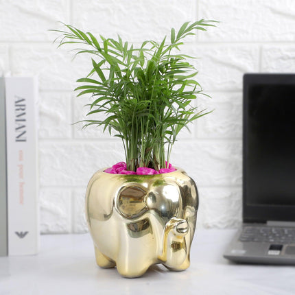 Collection image for: Sustainable Gifts