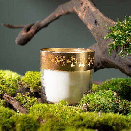 Enchante Candle - Dil Se (Saffron Silk - Birds)