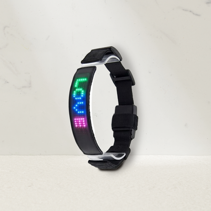 LED Pet Collar