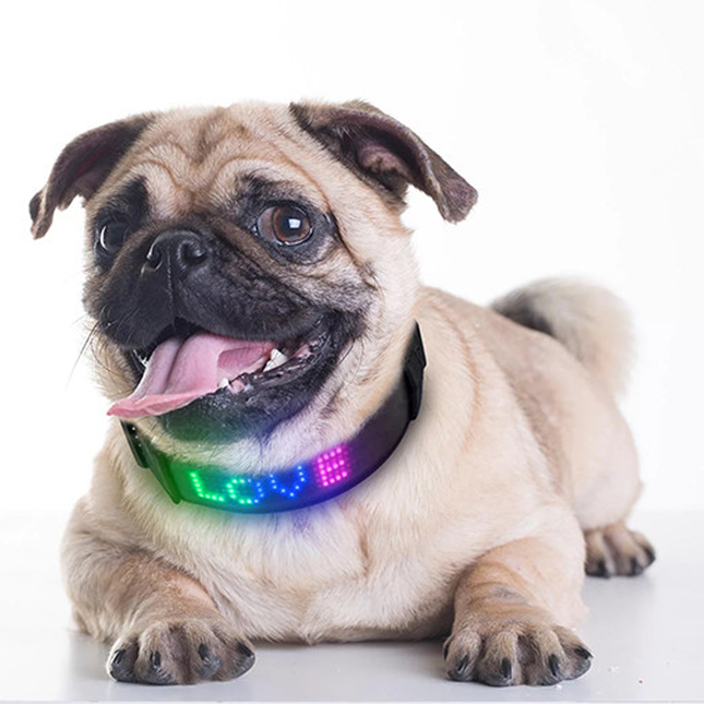 LED Pet Collar