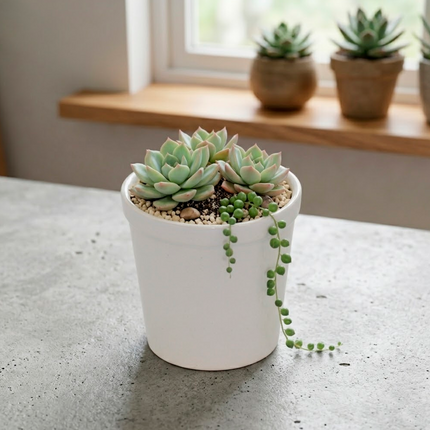 Minimalist White Ceramic Planter Pot – Modern Indoor Plant Container