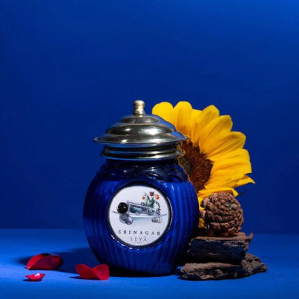 Ode to India - Srinagar