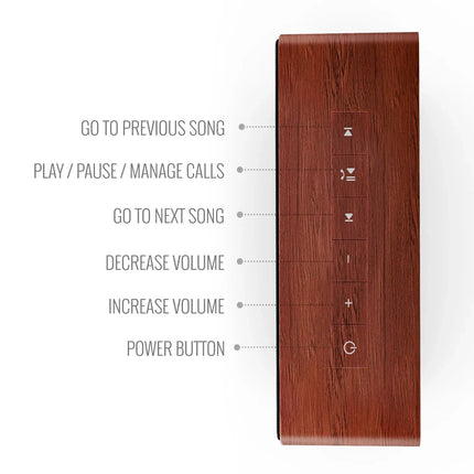 Carvaan Mini Plus Hindi - Vintage Brown