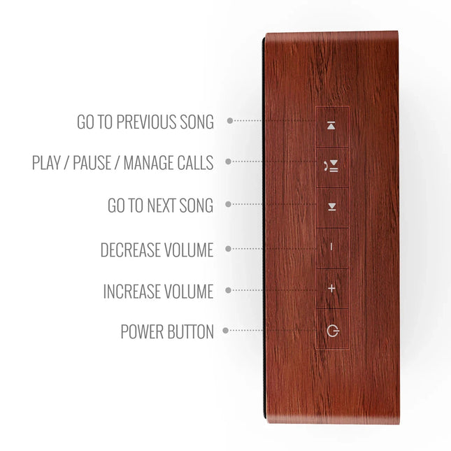 Carvaan Mini Plus Hindi - Vintage Brown