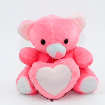 Soft Pink Teddy with Custom Heart Photo Frame