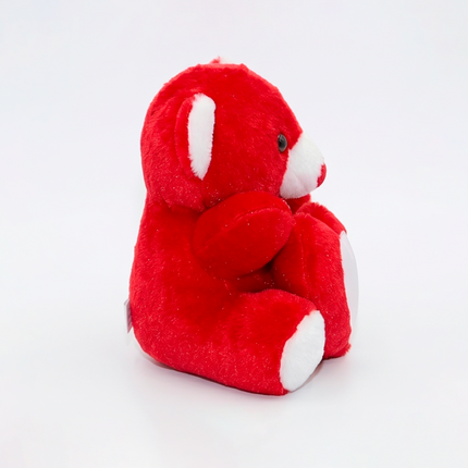 Soft Red Teddy with Custom Heart Photo Frame