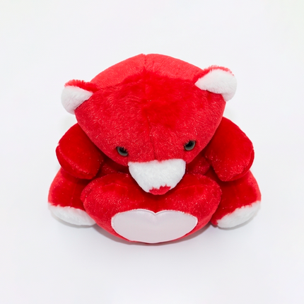 Soft Red Teddy with Custom Heart Photo Frame