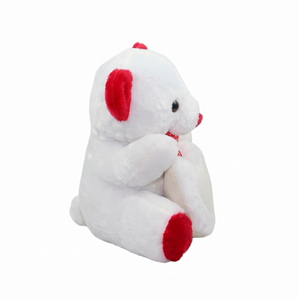 Soft White Teddy Bear with Red Accents with Heart Window for Personalized Photo