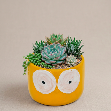 Yellow Owl Ceramic Hand-Painted Planter